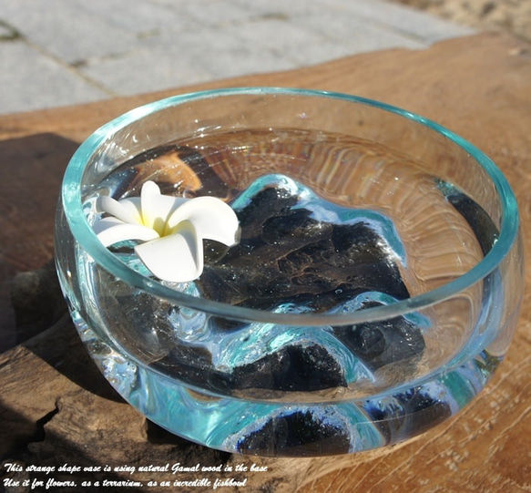 吹きガラスと天然木のオブジェB15 金魚鉢 メダカ 水槽 アクアリウム テラリウム コケリウム 花瓶 流木ガラス ブルー 10枚目の画像