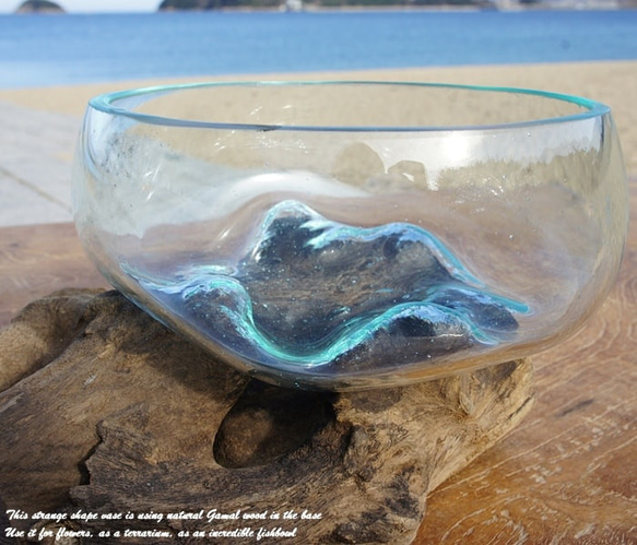 吹きガラスと天然木のオブジェB15 金魚鉢 メダカ 水槽 アクアリウム テラリウム コケリウム 花瓶 流木ガラス ブルー 3枚目の画像