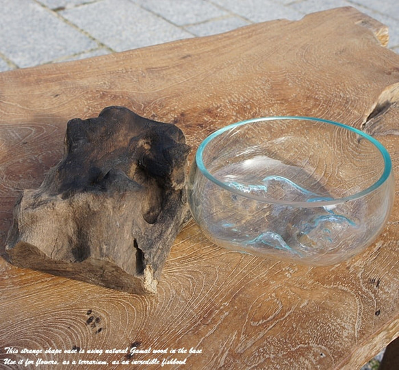 吹きガラスと天然木のオブジェB15 金魚鉢 メダカ 水槽 アクアリウム テラリウム コケリウム 花瓶 流木ガラス ブルー 7枚目の画像