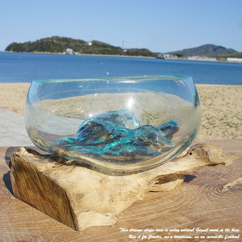 流木ガラス オブジェ超特大I 花瓶 金魚鉢 水槽 テラリウム 観賞魚 メダカ容器 流木ガラス オブジェ超特大D 花瓶 金魚鉢 水槽 テラリウム 観賞
