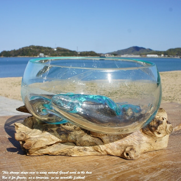 吹きガラスと天然木のオブジェB18 金魚鉢 メダカ 水槽 アクアリウム テラリウム コケリウム 花瓶 流木ガラス ブルー 8枚目の画像