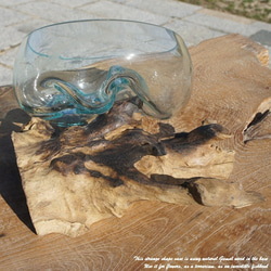吹きガラスと天然木のオブジェB18 金魚鉢 メダカ 水槽 アクアリウム テラリウム コケリウム 花瓶 流木ガラス ブルー 4枚目の画像