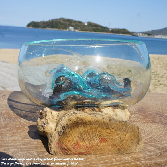吹きガラスと天然木のオブジェB18 金魚鉢 メダカ 水槽 アクアリウム テラリウム コケリウム 花瓶 流木ガラス ブルー 10枚目の画像