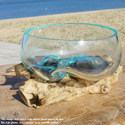 吹きガラスと天然木のオブジェB18 金魚鉢 メダカ 水槽 アクアリウム テラリウム コケリウム 花瓶 流木ガラス ブルー 14枚目の画像
