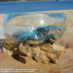 吹きガラスと天然木のオブジェB18 金魚鉢 メダカ 水槽 アクアリウム テラリウム コケリウム 花瓶 流木ガラス ブルー 13枚目の画像