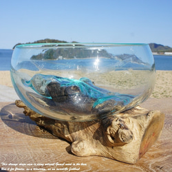 吹きガラスと天然木のオブジェB18 金魚鉢 メダカ 水槽 アクアリウム テラリウム コケリウム 花瓶 流木ガラス ブルー 9枚目の画像