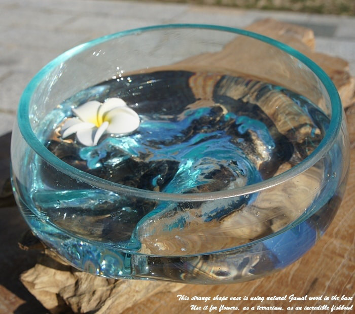 テラリウム オブジェ大B16A ガーデニング アート 花瓶 金魚鉢 流木ガラス