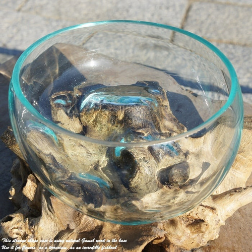 みみ 流木ガラス オブジェ大B20A 花瓶 金魚鉢 メダカ水槽 テラリウム b1800c16cc5ebdb3fafbbca38e2ae8