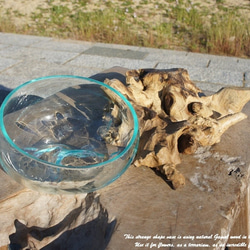 吹きガラスと天然木のオブジェB20 金魚鉢 メダカ 水槽 アクアリウム テラリウム コケリウム 花瓶 流木ガラス 4枚目の画像