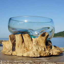 吹きガラスと天然木のオブジェB20 金魚鉢 メダカ 水槽 アクアリウム テラリウム コケリウム 花瓶 流木ガラス 6枚目の画像