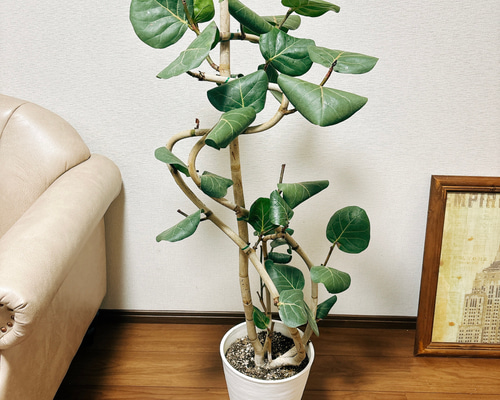 04cd01810e4402e060c19c97ed7580