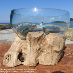 吹きガラスと天然木のオブジェB25 金魚鉢 メダカ 水槽 アクアリウム テラリウム コケリウム 花瓶 流木ガラス 9枚目の画像