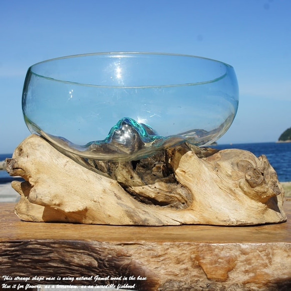 吹きガラスと天然木のオブジェB25 金魚鉢 メダカ 水槽 アクアリウム テラリウム コケリウム 花瓶 流木ガラス 2枚目の画像