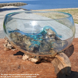 吹きガラスと天然木のオブジェB25 金魚鉢 メダカ 水槽 アクアリウム テラリウム コケリウム 花瓶 流木ガラス 8枚目の画像