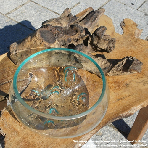 吹きガラスと天然木のオブジェB25 金魚鉢 メダカ 水槽 アクアリウム