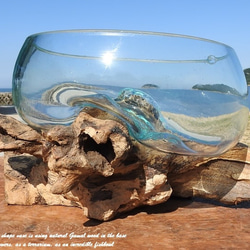 吹きガラスと天然木のオブジェB25 金魚鉢 メダカ 水槽 アクアリウム テラリウム コケリウム 花瓶 流木ガラス 1枚目の画像