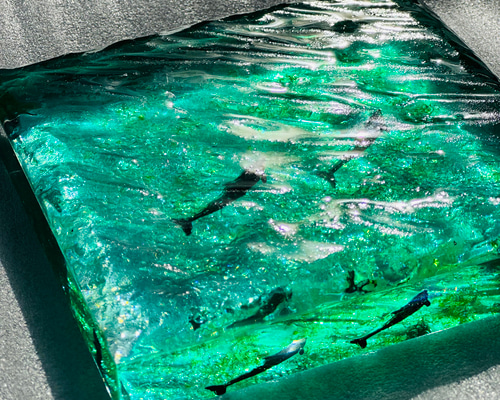 d48c3359d21a26b7729e71ef7087d2