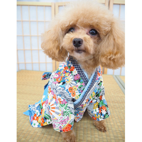 袴 はかま 和服 和装 和柄 七五三 イベント お正月 卒業式 犬 猫 袴 はかま 和服 和装 和柄 七五三 イベント お正月 卒業式 犬 猫