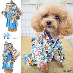 納得できる割引 和柄 和装 和服 はかま 袴 七五三 猫 犬 卒業式 お正月 イベント 犬服・アクセサリー