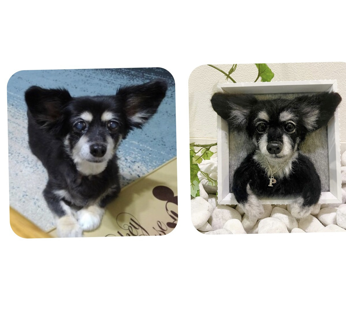 羊毛フェルト♡犬　再現♡うちの子そっくり♡世界でたった一つのプレゼント♡オーダー　イニシャルネックレス付き