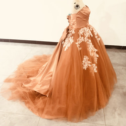 優雅彩色洋裝赤陶細歐根紗優雅蕾絲新娘/婚紗/伴娘 第2張的照片