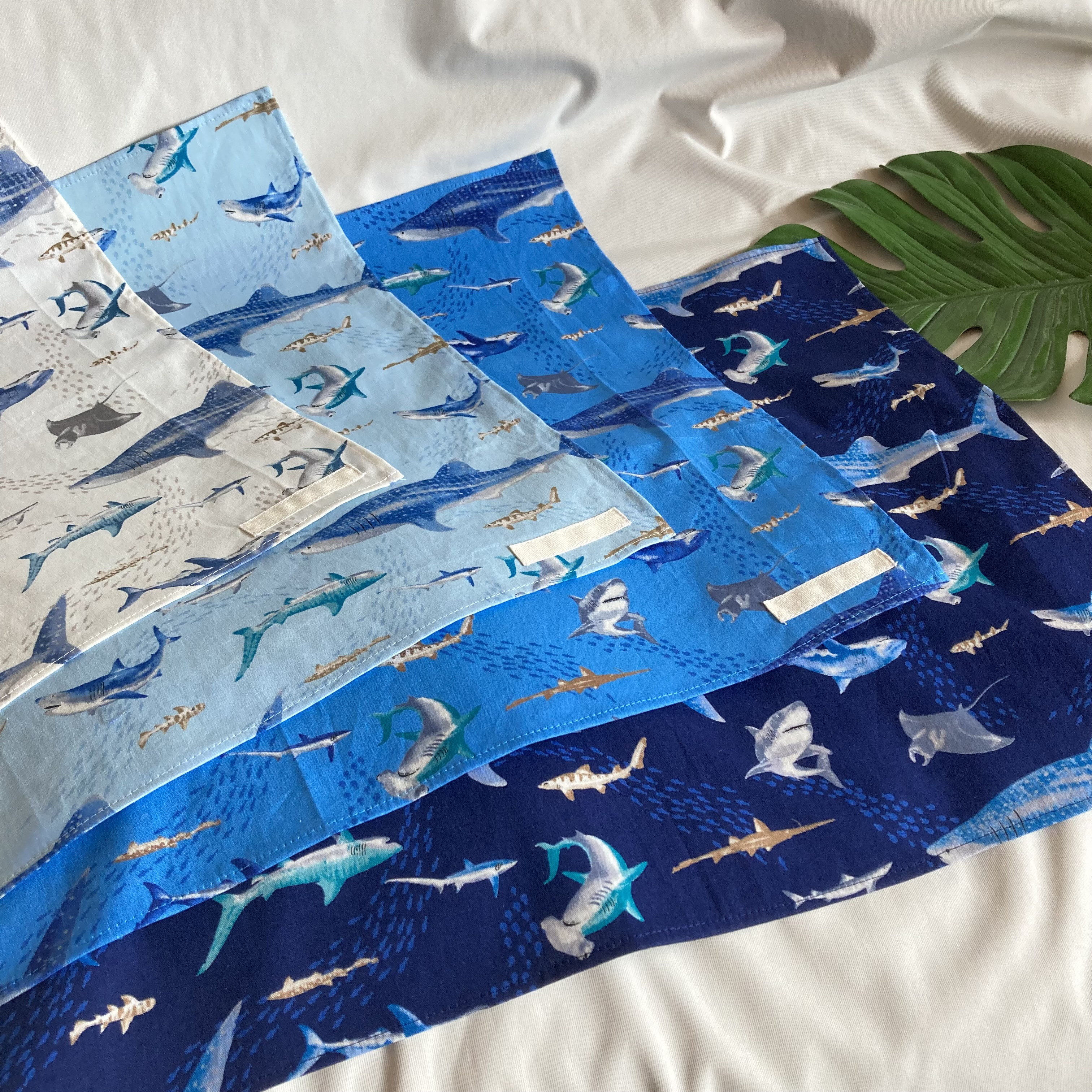 225A サメ図鑑 アイボリランチョンマット 1枚 40×50 小学校 給食