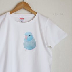 p-jet　マメルリハ ブルーパステル  Tシャツ  /  鳥 インコ 2枚目の画像