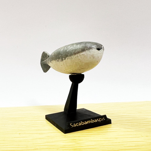 セール価格】 双頭人魚の剥製展示箱(定価58000円)