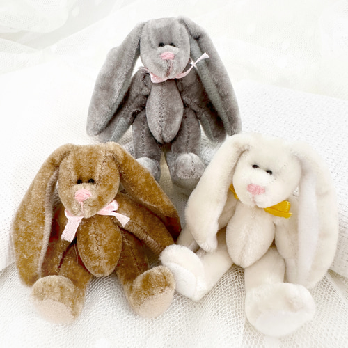 Amazon.co.jp: foxy illustrations BUNNY フォクシー
