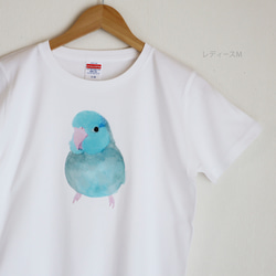 p-jet　マメルリハ ブルー  Tシャツ  /  鳥 インコ 2枚目の画像