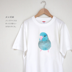 p-jet　マメルリハ ブルー  Tシャツ  /  鳥 インコ 4枚目の画像