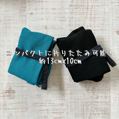 あると便利な ワインバッグ ターコイズブルー エコバッグ・サブバッグ