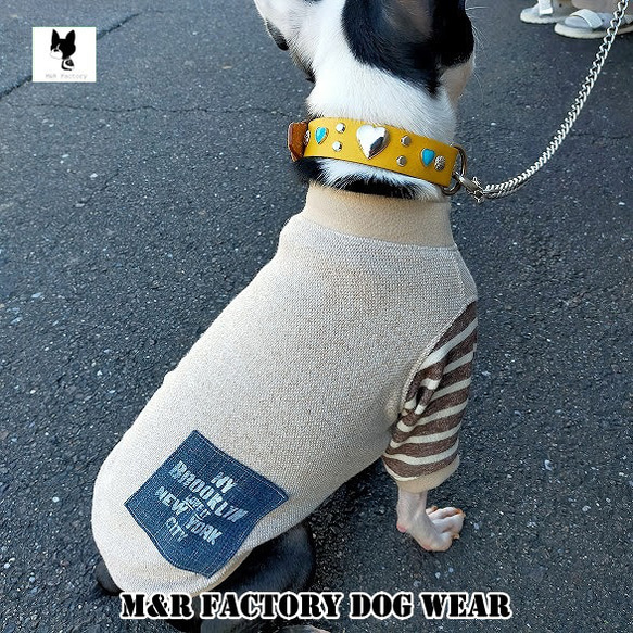 犬服オリジナル　ベージュミニ裏毛袖ボーダー・デニムパッチ付犬服2405　#ボストンテリア #フレンチブルドッグ 1枚目の画像