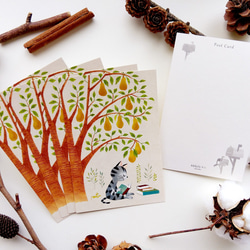 P6.ポストカード3枚/5枚セット“洋梨の木の下で読書する猫” 1枚目の画像