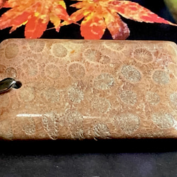 希少✨ マダガスカル産 レッド フォッシルコーラル　非染色　菊目石　ペンダント 4枚目の画像