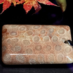 希少✨ マダガスカル産 レッド フォッシルコーラル　非染色　菊目石　ペンダント 3枚目の画像