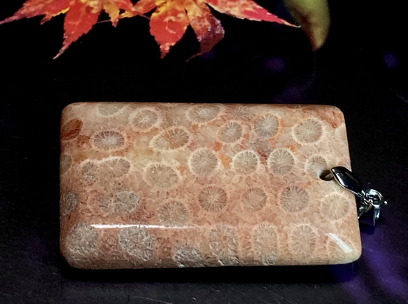 希少✨ マダガスカル産 レッド フォッシルコーラル　非染色　菊目石　ペンダント 3枚目の画像