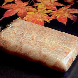 希少✨ マダガスカル産 レッド フォッシルコーラル　非染色　菊目石　ペンダント 2枚目の画像
