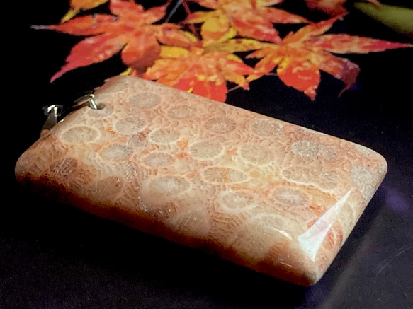 希少✨ マダガスカル産 レッド フォッシルコーラル　非染色　菊目石　ペンダント 2枚目の画像