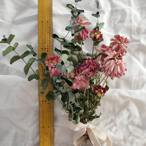 ユーカリとジニアのドライフラワー⭐スワッグ ドライフラワー y.kukka