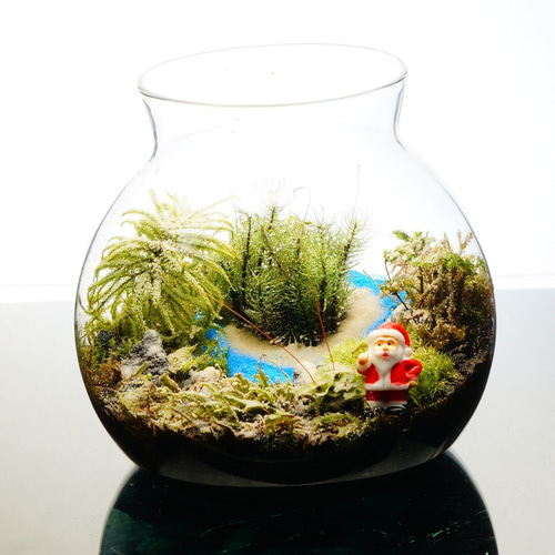 完成品】LEDライト付 ボトルテラリウム 14cm 苔テラリウム 川が続く