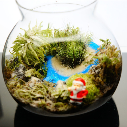 完成品】LEDライト付 ボトルテラリウム 14cm 苔テラリウム 川が続く