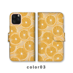 檸檬果橙柑橘類水果智慧型手機保護殼相容於所有型號筆記型卡片儲存NLFT-BKCS-09k 第4張的照片