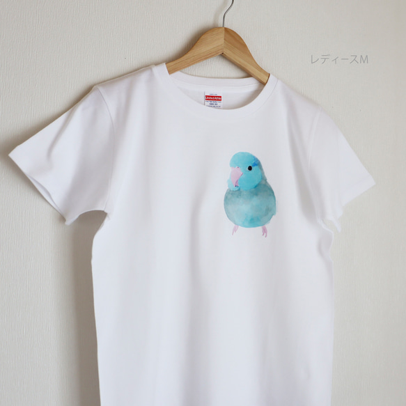 p-jet　マメルリハ ブルー ミニ ワンポイント  Tシャツ  /  鳥 インコ 6枚目の画像