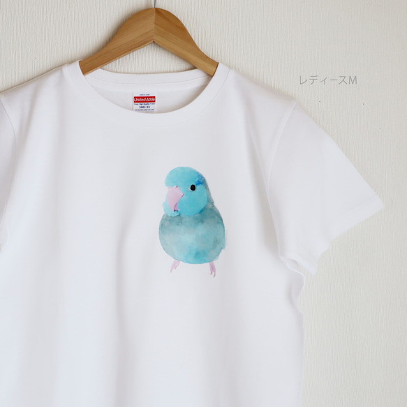 p-jet　マメルリハ ブルー ミニ ワンポイント  Tシャツ  /  鳥 インコ 5枚目の画像