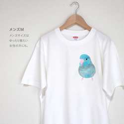 p-jet　マメルリハ ブルー ミニ ワンポイント  Tシャツ  /  鳥 インコ 2枚目の画像