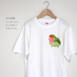 p-jet　コザクラインコ  Tシャツ  /  鳥 インコ 5枚目の画像