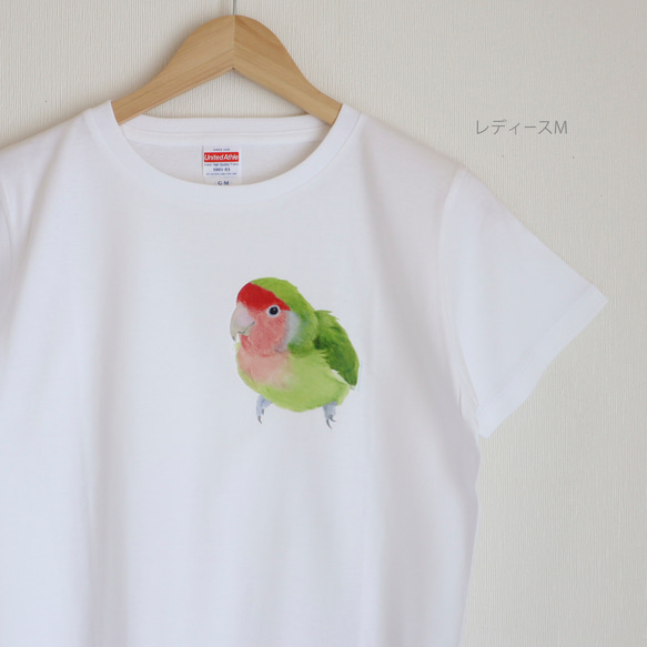 p-jet　コザクラインコ  Tシャツ  /  鳥 インコ 1枚目の画像
