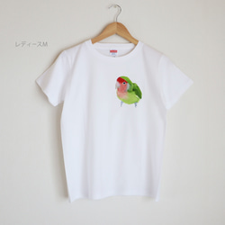 p-jet　コザクラインコ  Tシャツ  /  鳥 インコ 2枚目の画像