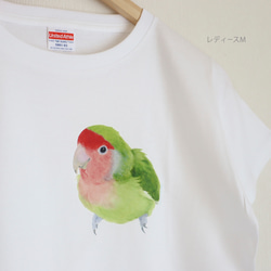 p-jet　コザクラインコ  Tシャツ  /  鳥 インコ 3枚目の画像